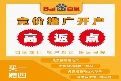 百度推广代运营公司成功案例解析